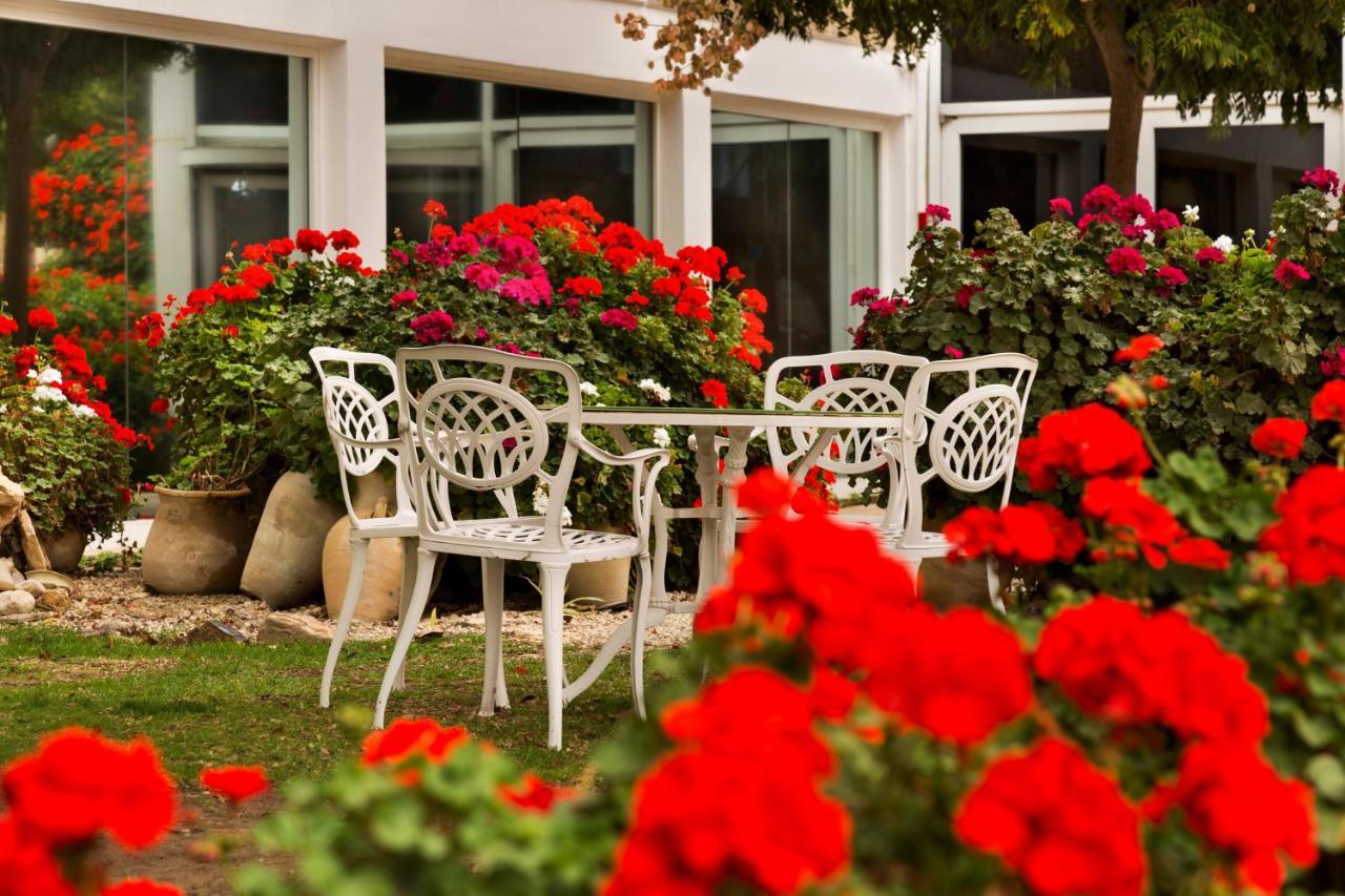Ramon Inn By Isrotel Collection Mitzpe Ramon Extérieur photo